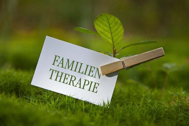 familientherapie